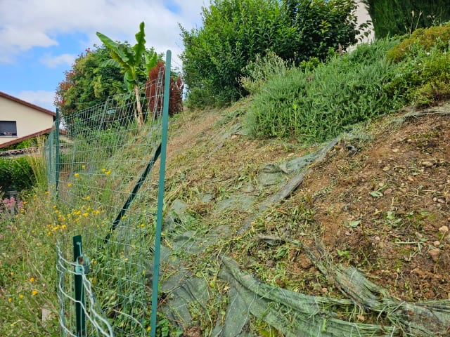 Terrain avant aménagement