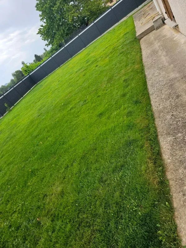 Pelouse après création